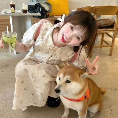 巨蝇海报