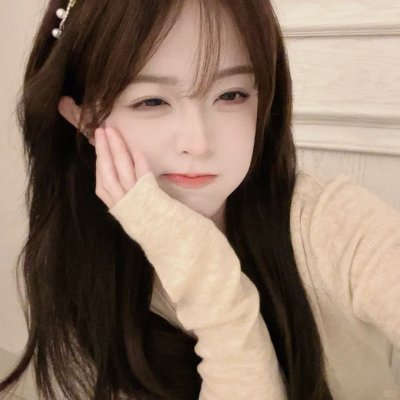 圣诞访客海报